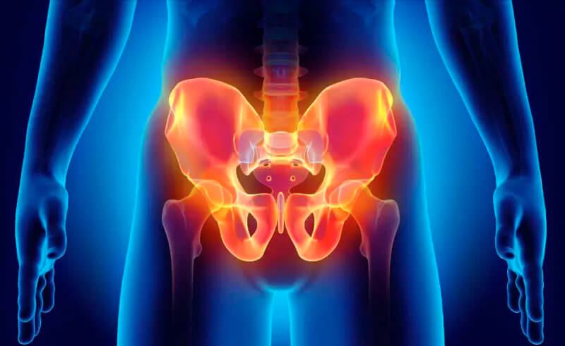 gyne-urog-pelvic3